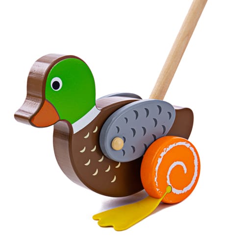 Duck Push Along - Everyday Learning Fun