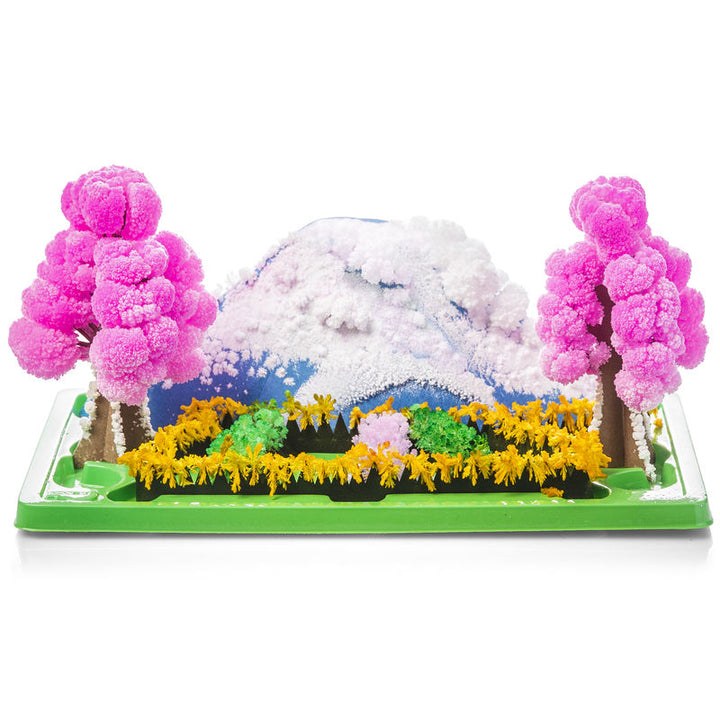 Magic Growing Garden - Outdoor Play Ready