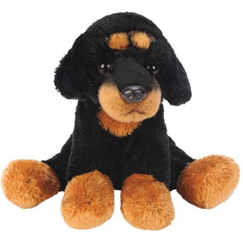 Sitting Rottweiler - Hug Me Friend