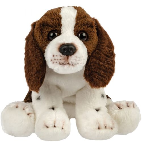 Springer spaniel - Soft Shelf Pick
